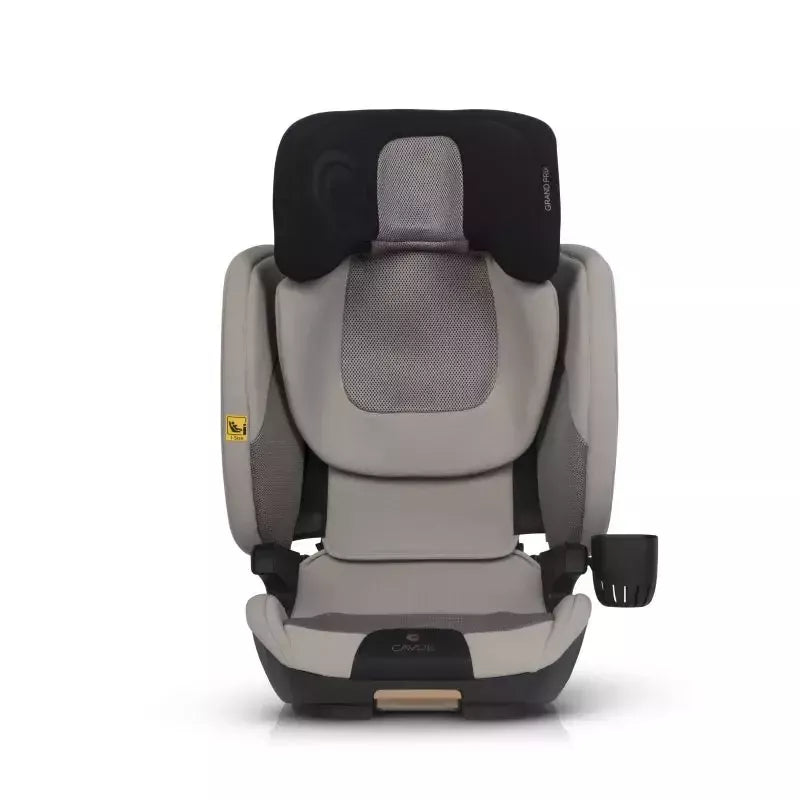 Automobilinė kėdutė Cavoe Grand Prix Isofix, 15-36 KG., Taupe